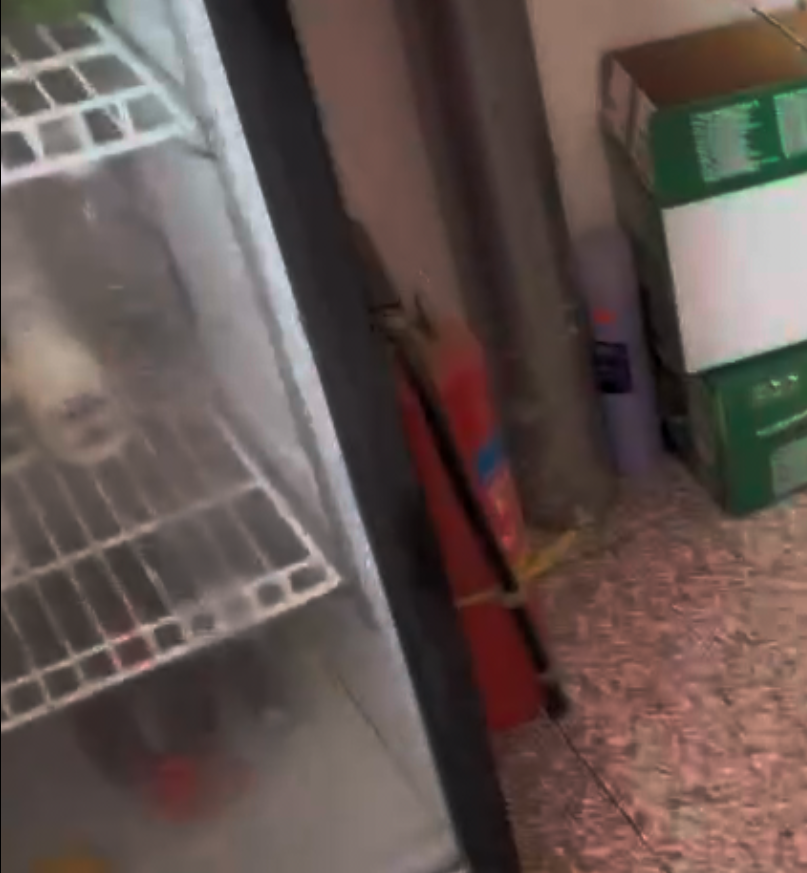 圖片